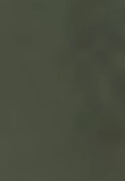 Gerry Weber Verkürzt- Shorts - Olive 13 Gerry Weber Verkürzt- Shorts - Olive -Gerry Weber 0ee7efa7af82493aba148efe9db40b95