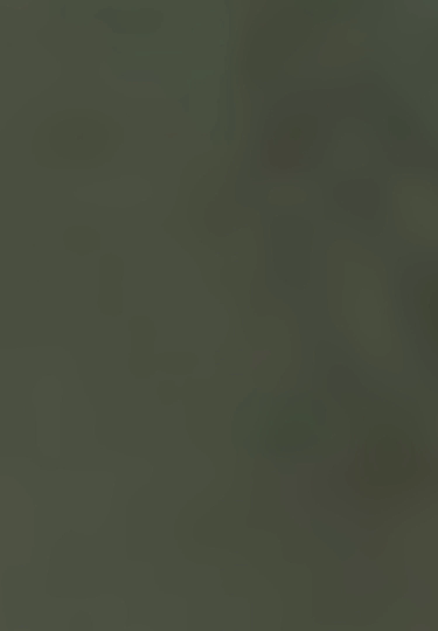 Gerry Weber Verkürzt- Shorts - Olive 7 Gerry Weber Verkürzt- Shorts - Olive - Afbeelding 7