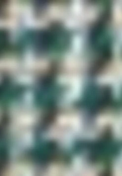 Gerry Weber Langarm Mit Hahnentritt - Blazer - Grün Blau Gemustert 13 Gerry Weber Langarm Mit Hahnentritt - Blazer - Grün Blau Gemustert -Gerry Weber 56ee3b6a081548a8bf3d379b36552b52