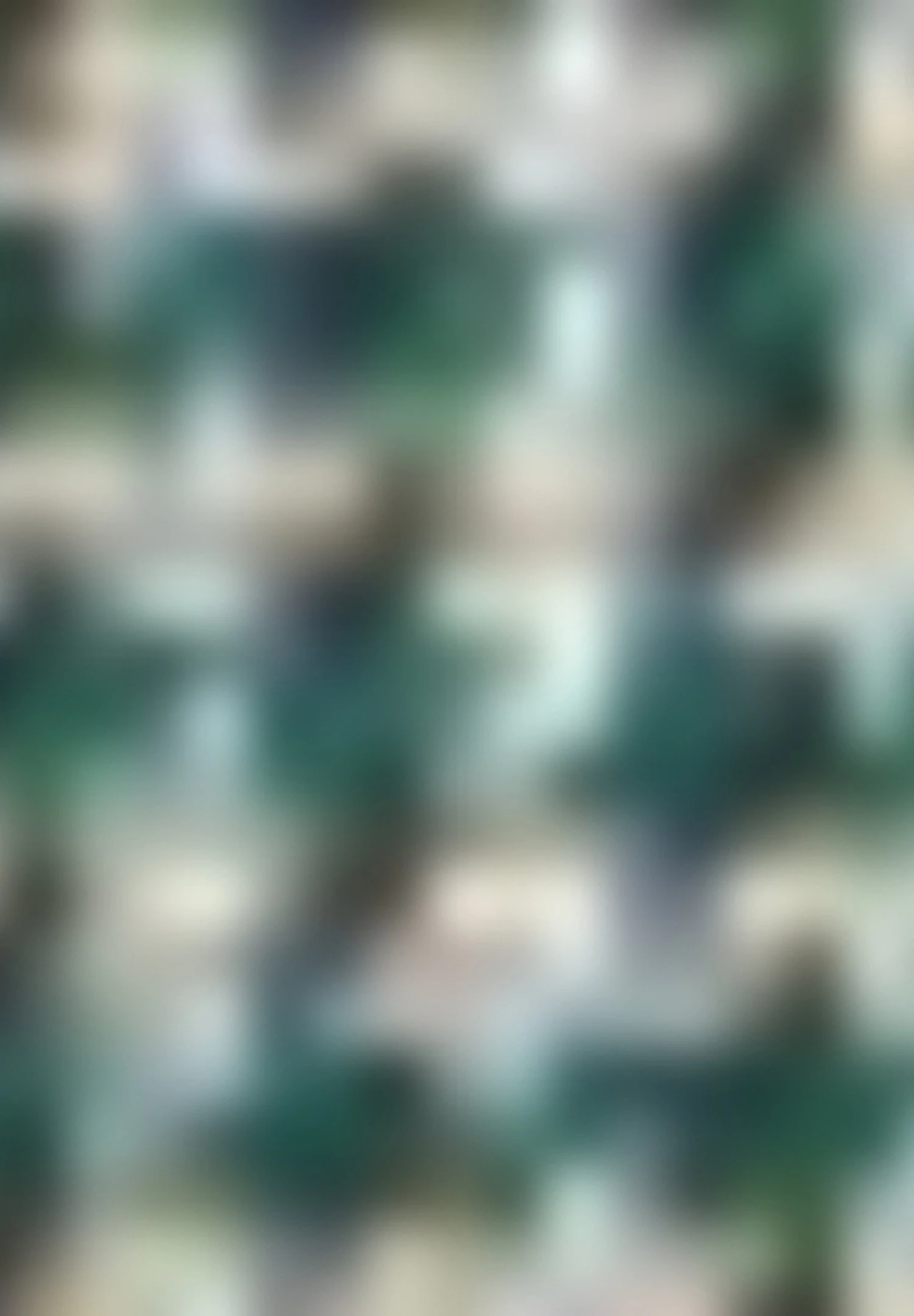 Gerry Weber Langarm Mit Hahnentritt - Blazer - Grün Blau Gemustert 7 Gerry Weber Langarm Mit Hahnentritt - Blazer - Grün Blau Gemustert - Afbeelding 7