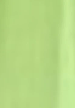 A-Lijn Rok - Light Lime 13 A-Lijn Rok - Light Lime -Gerry Weber 6a64a47d9310471fbc3bd89469fac764