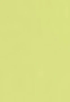 Gerry Weber 1/2 Arm Basic- T-Shirt Basic - Light Lime 11 Gerry Weber 1/2 Arm Basic- T-Shirt Basic - Light Lime -Gerry Weber 7083d1f4933e40a29a3546ad73ef7e6c