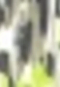 Gerry Weber Gemusterter- Kokerrok - Grün Druck 13 Gerry Weber Gemusterter- Kokerrok - Grün Druck -Gerry Weber eb93363b8cb6480eb47ac57860091bcd